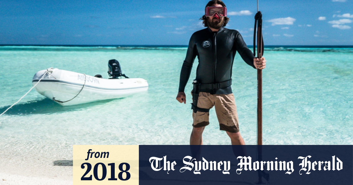 Dean Cropp 'Two humpbacks came from below...like two minibuses coming at me'